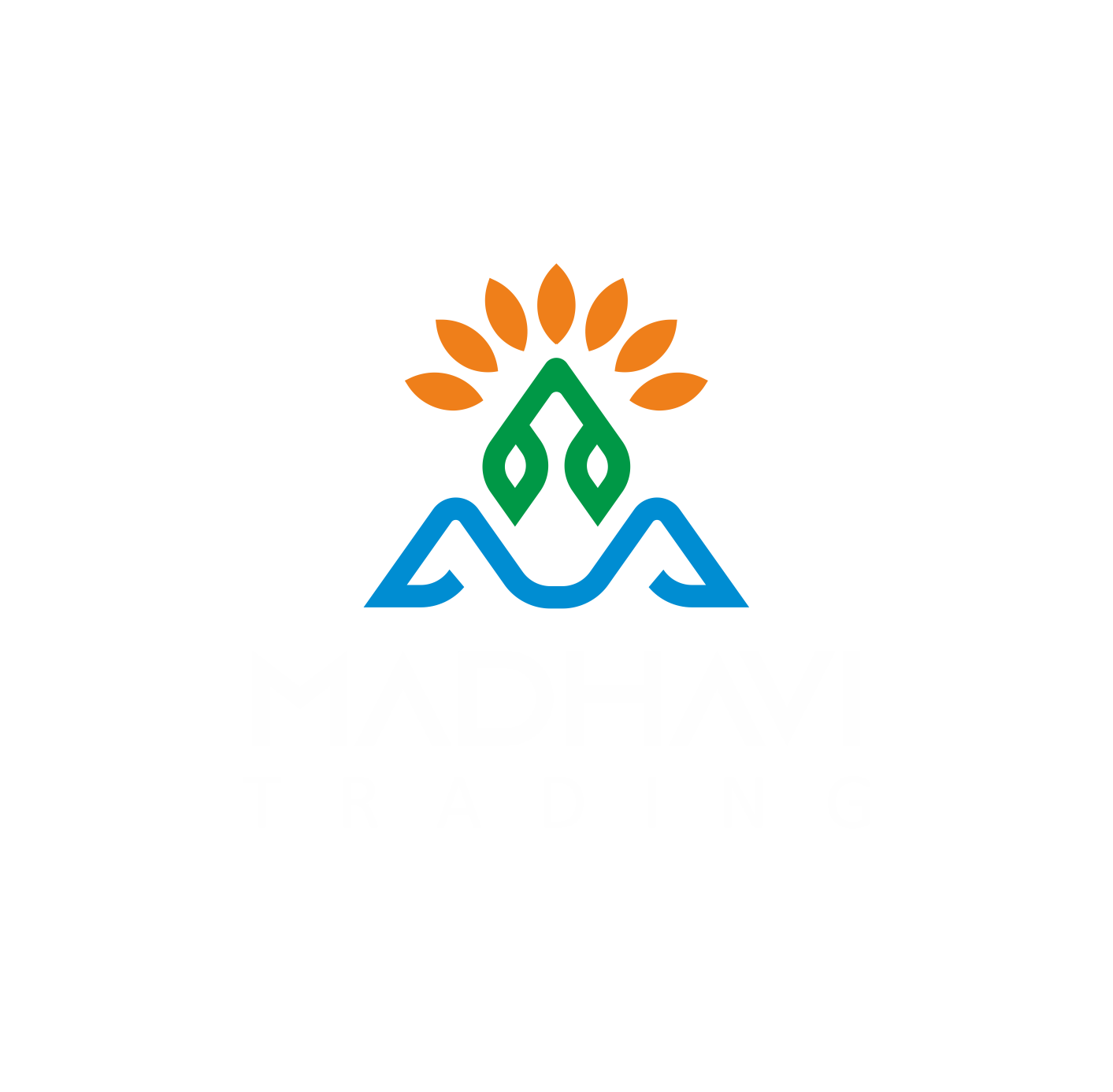 BEST WEBSITE COMPANY / OFFICE INGIDC ANKLESHWAR BHARUCH GUJARAT INDIA